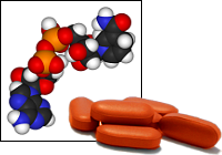 Enzymoterapie (logo)